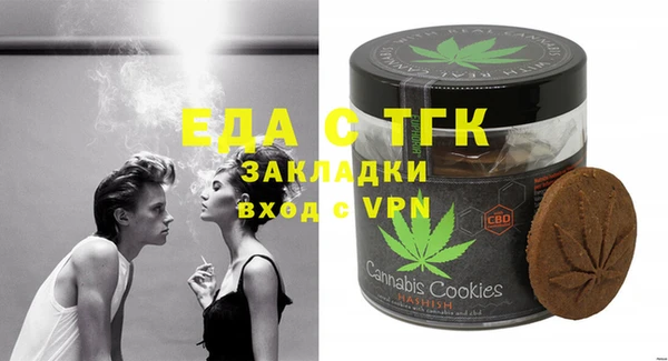 индика Пестово