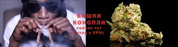 индика Пестово
