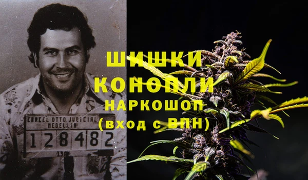 дмт Абаза