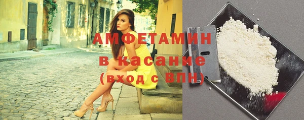 индика Пестово
