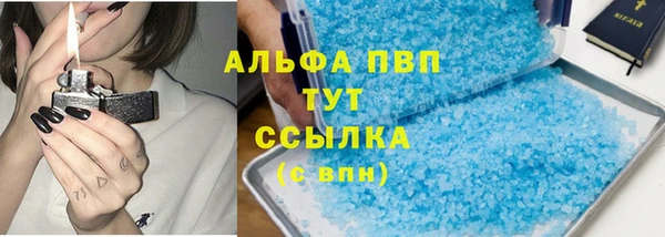 индика Пестово