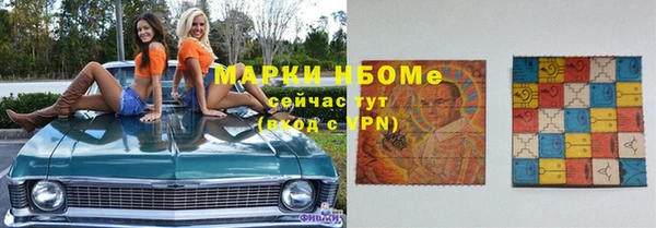 индика Пестово