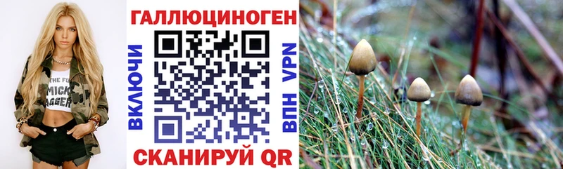 Галлюциногенные грибы Magic Shrooms Краснодар