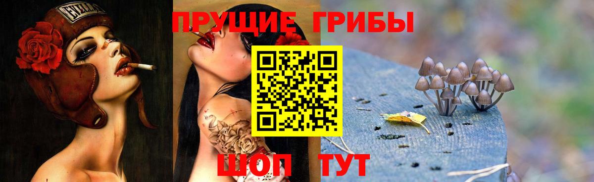 Галлюциногенные грибы мухоморы Краснодар